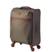 Gray four-wheel spinner carry-on luggage positioned on a white background