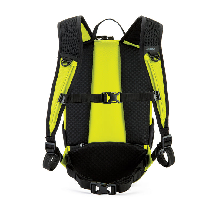 Pacsafe venturesafe x12 review sales