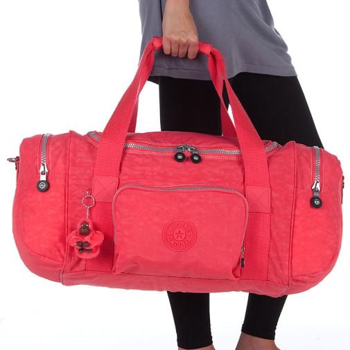 Anatomy M - Jet-Setter.ca