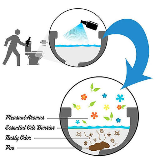 Déjà Poo: Before You Go Toilet Spray - Jet-Setter.ca